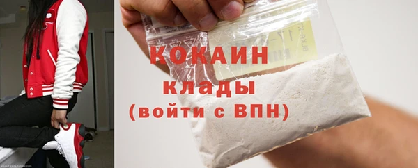 твердый Богородск