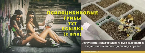 винт Богородицк