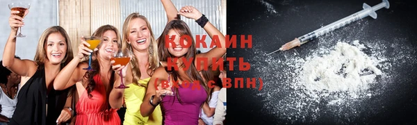 твердый Богородск